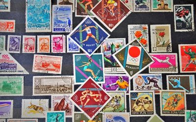 Expert Tips for a Successful Collection