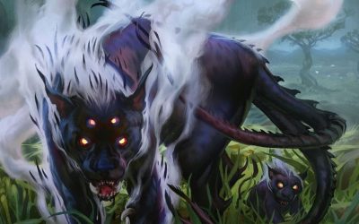 Massive Timeless Tournament Reveals Overpowered Strategy!